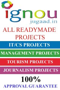 it/cs projects, management projects, library science, tourism projects, journalism projects, Synopsis  Projects, Synopsis Sample